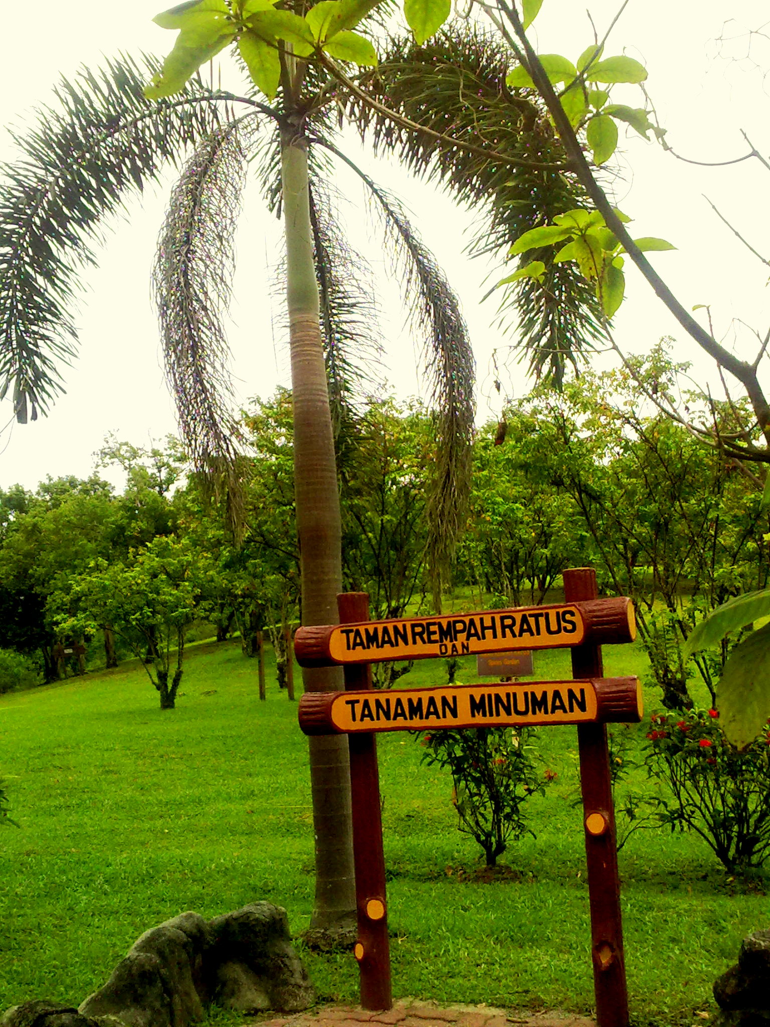 Taman Rempah Ratus & Pelbagai Minuman - Taman Botani 